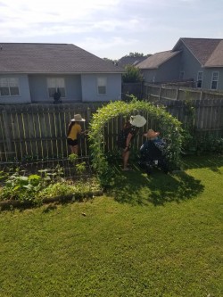 Harvesting